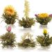Creano fleurs de th - Th blanc - Buy Online on GoSupps.com