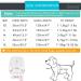 Zunea No Pull Dog Harness for Small Dog Reflective Breathable Soft Mesh Padded Step-in Vest Harness Leash Set Puppy Girl Dog Cat Lead for Daily Walking Running Training - (Red S) S (Pack of 1) red - Buy Online on GoSupps.com