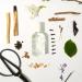 Malin + Goetz Eau de Parfum Men & Women's Perfume Garden Berry Fragrance Fresh & Comforting Scented Perfume Bright & Evolved Vegan & Cruelty Free Leather - Buy Online on GoSupps.com