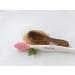 BlushLips Double-Sided Silicone Exfoliating Lip Brush Wand for Plump, Fuller Lips (Pink) - Buy Online on GoSupps.com