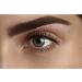 L'Oreal Paris High Contour Brow Pencil & Highlighter Duo - Brunette, Pack of 1 - Buy Online on GoSupps.com