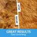2-in-1 Undercoat Rake & Deshedding Brush for Large Dogs | Dematting Comb for Cats | Reduces Shedding by 95% - Buy Online on GoSupps.com