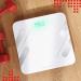 Pohl Schmitt Body Fat Smart Digital Scale - Tracks 13 Key Compositions - Syncs with All Phones - 400 lb Capacity - Buy Online on GoSupps.com