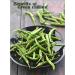 DK curry leaf powder + green chili powder (Hari Mirchi powder) (200 g) (Super Saver Combo Pack) - Buy Online on GoSupps.com