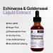 Echinacea and Goldenseal 2 fl oz Liquid Extract - Natural Herbal Supplement - Immune Support Drops - Enhance Sleep | Boost Energy - High Potency - 45-Day Supply - Buy Online on GoSupps.com