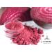 Organic Beet Root Powder (1 lb) | Naturevibe Botanicals | Raw & Non-GMO | Nitric Oxide Booster for Stamina and Energy | Packaging May Vary - Buy Online on GoSupps.com
