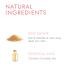 Beauty For Real Lip Revival Spearmint - Organic Exfoliating & Hydrating Sugar Lip Scrub for Dry Chapped Lips - Vegan Essential Oils - 0.15 oz - Buy Online on GoSupps.com