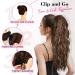 REECHO 26 Long Beach Wave Drawstring Ponytail Extension - Dark Blonde with Highlights | Synthetic Hairpiece for Women - Buy Online on GoSupps.com