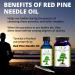Optimally Organic Wild Crafted Red Pine Needle Oil - Fresh Light Pine - 2 Fl Oz. - Buy Online on GoSupps.com