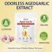 SAPURAIS Elare Aged Garlic Extract - 7500mg Odorless Organic Garlic Extract Capsules | Organic Non-GMO Gluten-Free(180 Softgels) - Buy Online on GoSupps.com