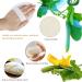 Exfoliating Loofah Sponge Pads - 8 Pack Gourd Scrub Gloves for Men & Women | Ideal for Bathing & Spa | Beige - Buy Online on GoSupps.com