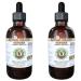 Ginger Alcohol-Free Liquid Extract Organic Ginger (Zingiber officinale) Dried Root Glycerite Hawaii Pharm Natural Herbal Supplement 2x4 oz 8 Fl Oz (Pack of 1)