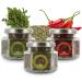 Brezzo - TRIS MEDITERRANEAN SPICES (oregano, thyme, chili pepper)