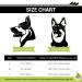Dog & Cat Motorcycle Helmet - Safety Hard Hat for Pets 17lb-27lb | Black Outdoor Protection - Buy Online on GoSupps.com