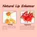 Buy Lip Plumper Gloss Booster Set 3 Colors | Natural Hydrating Lip Care & Fine Line Reducing Serum for Fuller Lips - Buy Online on GoSupps.com