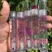 10 Pack 5ml Empty Lip Gloss Tubes with Wands | Transparent Containers for DIY Lip Gloss | Clear Crystal Design with Rubber Stoppers - Buy Online on GoSupps.com
