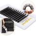 Volume Eyelash Extensions | Easy Fan Lashes | D Curl 0.07mm Rapid Self Blooming | 8-14mm Mix for Stunning Lashes - Buy Online on GoSupps.com