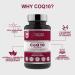 High Absorption Ubiquinone Coenzyme Q10 100mg Softgel Capsules - 120 Vegan Friendly Natural Fermented CoQ10 Capsules | Made in UK to GMP Standards by Intelligent Healthth - Buy Online on GoSupps.com
