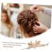 FRCOLOR Hairpin Bridal Hair Clip Gold Hair Clips Women Hair Stick Hair Bun Stick Hair Stick Chopstick Hair Bun Chopstick Chinese Hair Stick Beautiful Hair Accessories Girl Zinc Alloy - Buy Online on GoSupps.com