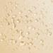 PATTERN Beauty Hydrating Mist - 3 Fl Oz Spray Bottle (Pack of 1) - Buy Online on GoSupps.com