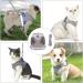 Kitten Harness Cat Harness Cat Lead and Harness Set Kitten Lead and Harness Set for Walking Travel Escape Proof Vest Harnesses for Small Animals Rabbit Mouse Cats XS Grey - Buy Online on GoSupps.com