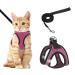 Lollanda cat dishes with a leash adjustable soft kitten vest with reflective stripe super small kitten cat dishes (s pink) s pink