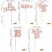 30 Pack 18th Birthday Cupcake Toppers Glitter Eighteen Cheers to 18 Cupcake Picks Hello 18 Years Birthday Cake Decorations for Happy 18th Birthday Anniversary Party Supplies Rose Gold 18th-1 Rose Gold - Buy Online on GoSupps.com