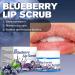 3PCS Lip Scrub Gentle Exfoliator Remove Dead Skin Reduce Fine Lines Moisturizing & Nourishing Care Lip Care Scrub - Buy Online on GoSupps.com