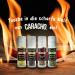 Caracho Chili M hlen Gourmet Set - 4 Mini Mills Gift Set with High-Quality Chili Flakes & Varied Sharpness - Perfect for Spice Lovers - Buy Online on GoSupps.com