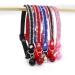 Rhinestone Cat Collar with Bell | Adjustable Safety Buckle | Purple XS Collar for Kitten & Puppy - Buy Online on GoSupps.com