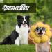 1 Piece Cat Cone Collar Soft Cute Sun Flower Neck Cat Cones Adjustable Pet Recovery Collar for Cats Kittens Puppies Soft Elizabethan Collar Prevent Licking Biting Protect Wounds - Buy Online on GoSupps.com