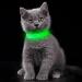 YFBrite Luminous Dog Collar - USB Rechargeable LED Adjustable Neck Band for Dogs & Cats | Durable Flashing Collar for All Sizes (Green XS) - Buy Online on GoSupps.com