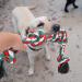 Luxmay Insmerced Rope Dog Toy - 92cm 5 Knots Durable Chew Toy for Large & Medium Dogs - Interactive Christmas Colors - International Shipping Available - Buy Online on GoSupps.com