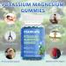OVANKATA Potassium Magnesium Gummies - High Absorption Chewable Supplements for Leg Cramps & Muscle Relaxation - 60 Count (Pack of 1) - Buy Online on GoSupps.com