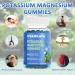 OVANKATA Potassium Magnesium Gummies with Ashwagandha & Vitamin D - Natural Energy & Stress Relief - Buy Online on GoSupps.com