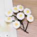 Buy Simulation Daisy Hair Clips & Bands for Women | 8 Hair Clips + 4 Hair Bands - Stylish Accessories for Girls - Buy Online on GoSupps.com