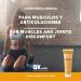 Gel cr me Arnica Montana - Pour muscles et articulations - Haute teneur en extrait d'arnica de calendula hamam lis - Massage (100 ml) - Buy Online on GoSupps.com