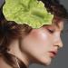 PATKAW Lettuce Hair Clip Vegetable Hairpin Realistic Cabbage Costume Headpiece Spa Face Wash Hairband Novelty Dress Up Hair Accessories Funny Hat - Buy Online on GoSupps.com
