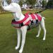 Buy Hzqifei Reflective Dog Life Jacket - Ultimate Swimming Vest for Small Medium & Large Dogs (Red) - Safe & Stylish Water Training Gear - Buy Online on GoSupps.com