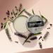  Bruno Banani bruno banani Man Cream Deodorant 24 Hour Cream Deodorant for Men 40ml - Buy Online on GoSupps.com