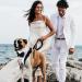 Shop Stylish Dogs Smoking Bandana | Adjustable Pet Headscarves for Weddings & Celebrations | Black & White Bandana for Dogs & Cats - Buy Online on GoSupps.com