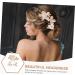 BELLIFFY 1 Set Leaves and Flowers Hair Comb Hair Comb Clip Girl Headpiece Bridal Hair Accessories Hair Accessories for Headpiece for Wedding Decoration Bride Headdress Flower Hair Pin - Buy Online on GoSupps.com