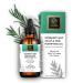 SAMS Rosemary Mint Hair Growth Oil - Organic Scalp Treatment Strengthens & Nourishes Prevents Breakage Fast Hair Growth 2 fl oz Green