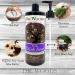 Dr. Woods Raw Black Liquid Body Wash - Organic Shea Butter 32 oz | Nourish & Hydrate - Buy Online on GoSupps.com