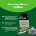Quercetin & Bromelain Immune Support Supplement - 500mg Quercetin & 100mg Bromelain for Joint, Lung Health & Immunity - 90ct - Buy Online on GoSupps.com