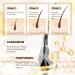 Ultimate Waterproof Makeup Sets: Long Lasting Lash Serum & Smudgeproof Mascara Gift Kit for Women & Girls (2 Pcs - Buy Online on GoSupps.com