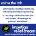 Tamed Organics Impetigo Relief Cream - Natural Fast-Acting Formula for Soothing & Healing, 2 Large 1.9 oz Jars - Anti-Itch & Anti-Scar for Adults & Children, 3.8 oz Total - Buy Online on GoSupps.com