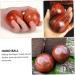 Magiclulu 4-Piece Solid Wood Massage Balls Set | Chinese Health Foot & Muscle Massage Device - Buy Online on GoSupps.com