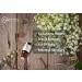 2-Pack Lily of Valley Essential Oil - 100% Pure Organic Diffuser Oil for Spa Massage Yoga & Perfume | 2x10ML - Buy Online on GoSupps.com