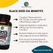 Amazing Herbs Premium Black Seed Oil Capsules - 60 Count 1250mg - Pack of 3 | Cold Pressed Nigella Sativa for Digestive Health, Immune Support & Brain Function - Buy Online on GoSupps.com